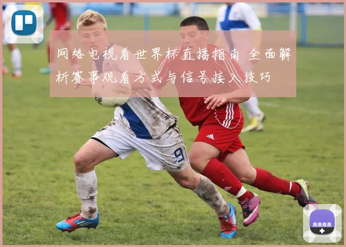 网络电视看世界杯直播指南 全面解析赛事观看方式与信号接入技巧