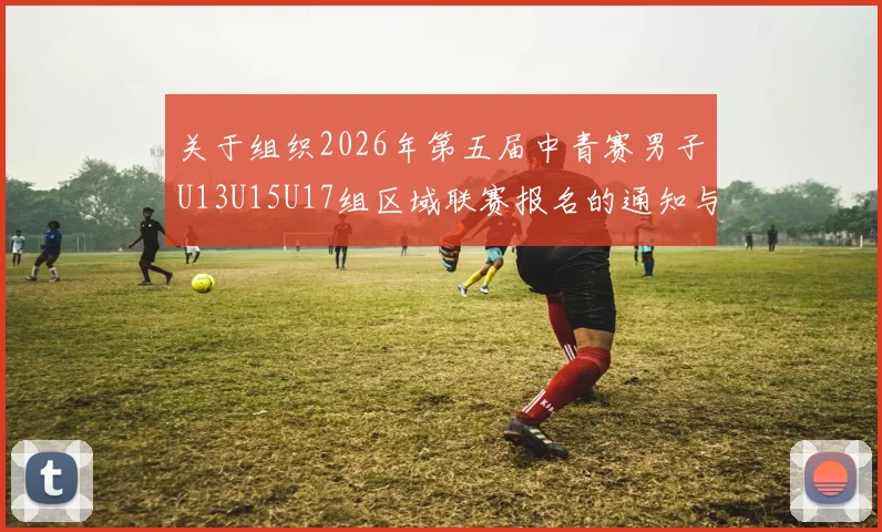 关于组织2026年第五届中青赛男子U13U15U17组区域联赛报名的通知与要求