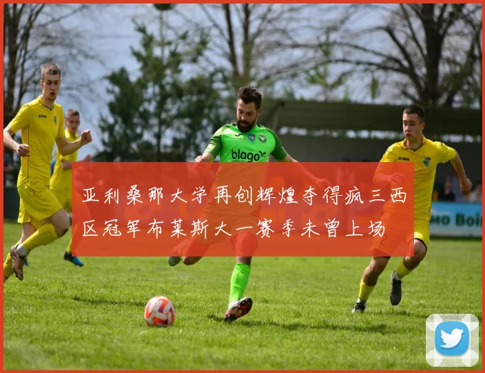 亚利桑那大学再创辉煌夺得疯三西区冠军布莱斯大一赛季未曾上场